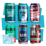 IPA 24-Pack