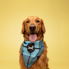 Dog Bandana