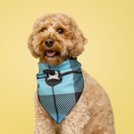 Dog Bandana