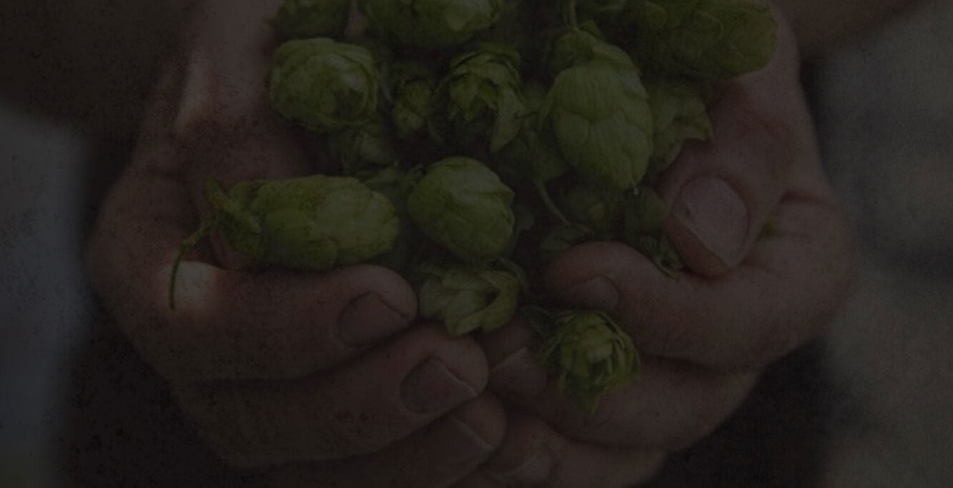 Punk IPA