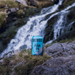 Punk IPA